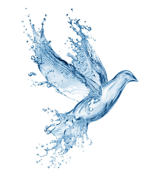 DgeUA Джерела України